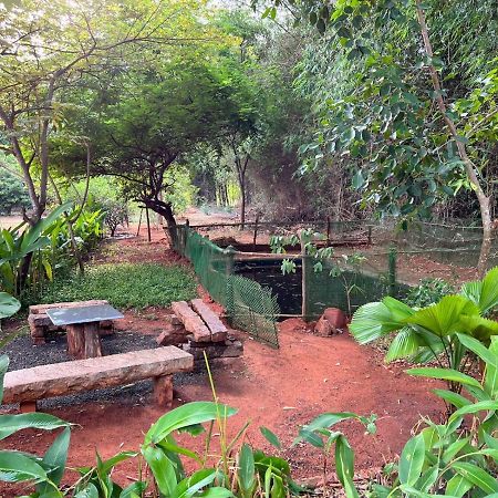 bougan villa Auroville Exteriör bild